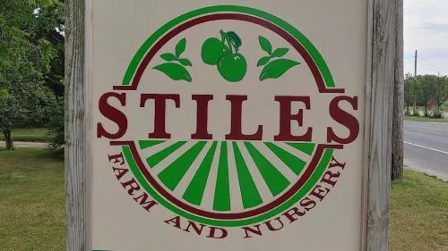 Amazing farm with berries, stone fruits, and more run by just two people