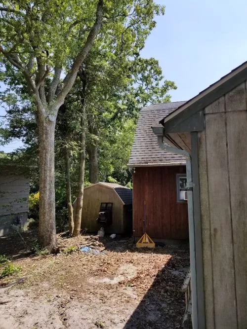 Gary and his crew are great! They did a great job removing two trees from my yard and trimming others
