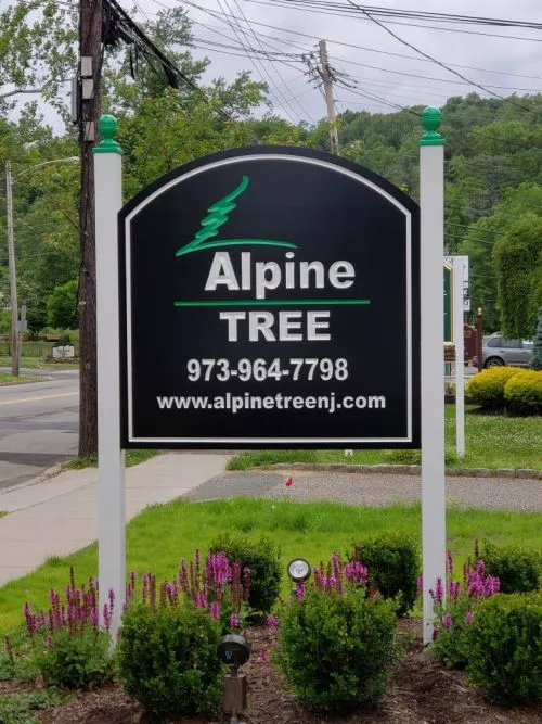 This is 1st time I’ve used Alpine and I’ve got to say they did a great job
