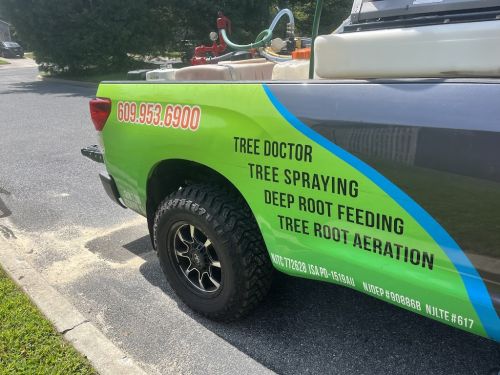  alt='Chip from Plant Care Solutions has been exceptional in helping care for my Japanese Maple tree'