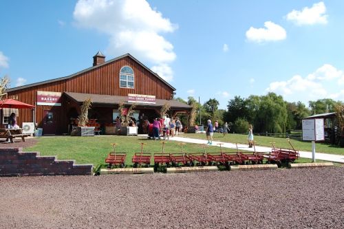  alt='Great destination for adult and family activities. We bought the locally made wine with a charcuterie platter and enjoyed'