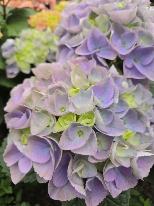  alt='We love partnering with Staffa Stone Garden Center! The owner Kyle and employees are all great, they offer everything you'