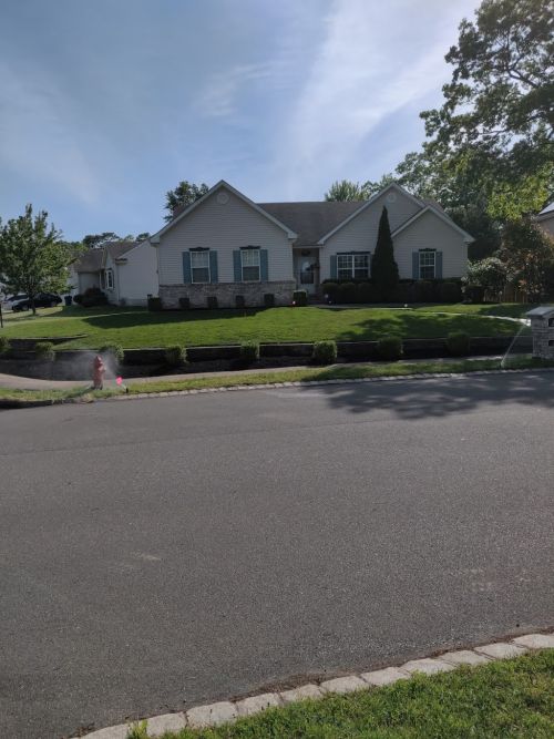  alt='Such a great company to work with! Roy’s Action Landscaping makes dreams a reality'