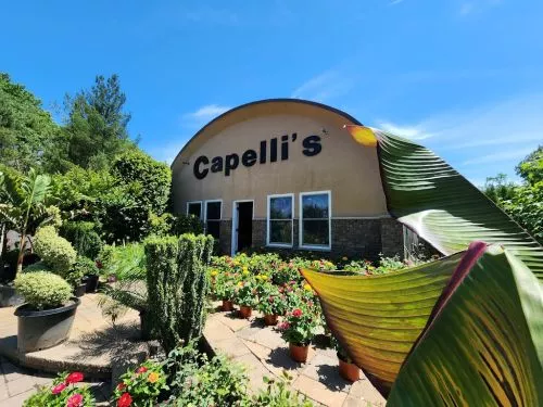 “We had 30 yards of topsoil delivered from Capelli Farms and I am genuinely blown away by the quality