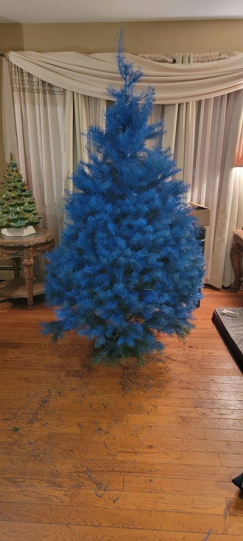  alt='Love the farm! Trees are healthy & last a long time! The family is fantastic too! Its so much fun to start the season!'