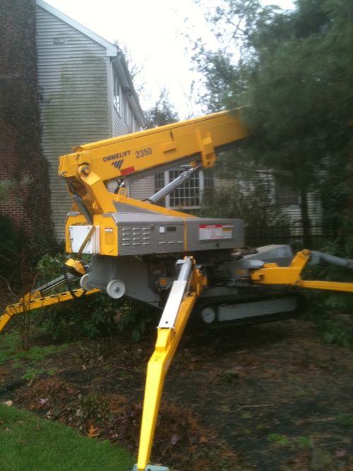  alt='Outstanding service and professionalism. The guys did a fantastic job taking down some pines on my property'