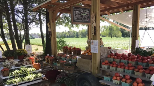 Great selection of fresh fruits and vegetables, and sunflowers!!