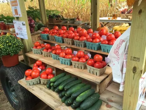 Best priced local produce