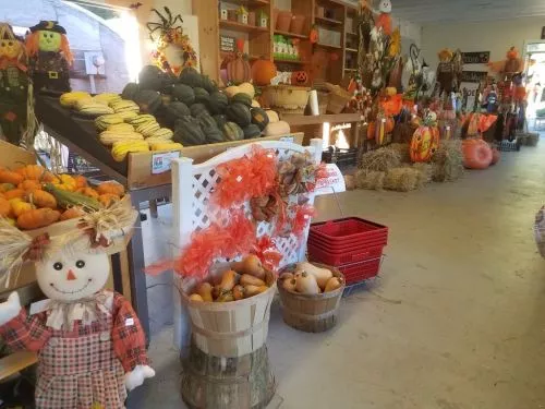 This is THE MOST INCREDIBLE nursery I have ever been to! I knew it had good reviews, but I was STUNNED by the sheer variety