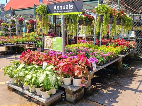  alt='Wide selection of things for your garden at good prices'