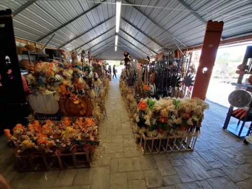 I absolutely ADORE this nursery! Its a little under an hour from me, but well worth the trip 