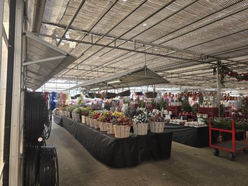  alt='Heard of this great Nursery - Garden Center today and decided to pay them a visit! So glad I did!'