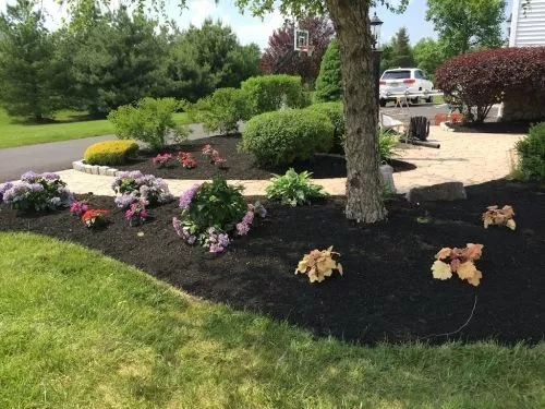 We have been using Cutting Edge Lawn & Landscaping for five years and couldn"t be happier with their services