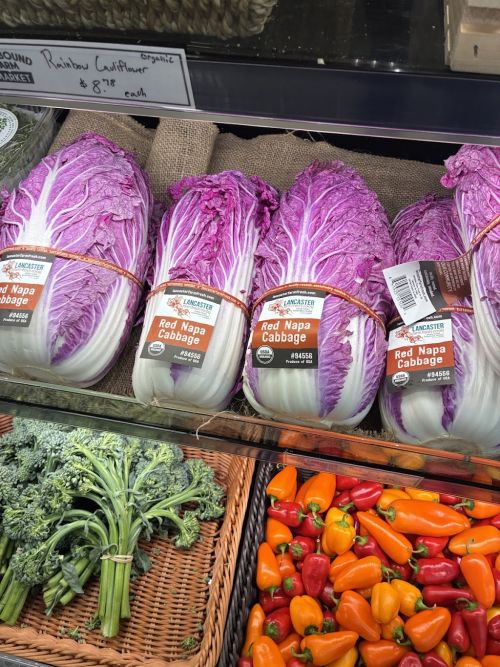  alt='This is a very cute farmers market that I