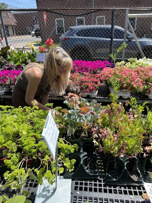  alt='Fantastic local landscaper. Family owned. They do excellent work, whether it’s lawn care, hardscaping, drainage…I have used'