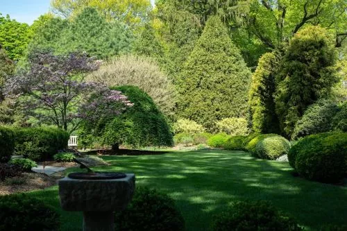 Fantastic local landscaper. Family owned. They do excellent work, whether it’s lawn care, hardscaping, drainage…I have used