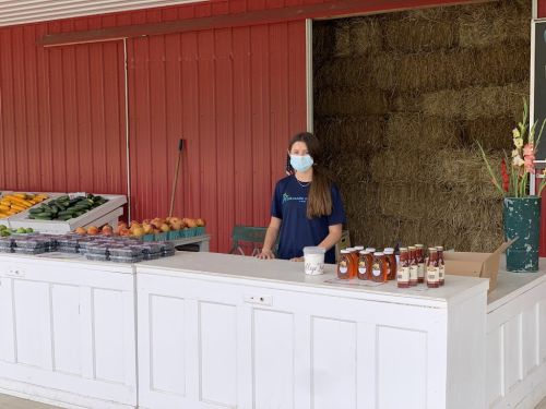  alt='Mom and Pop farm. Cash or check only. Great produce and flowers! I come here from Philly. Worth the drive!'