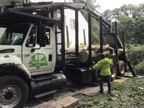Second time using JP. The entire team is respectful of your property, do an excellent job, clean up is terrific, pricing is