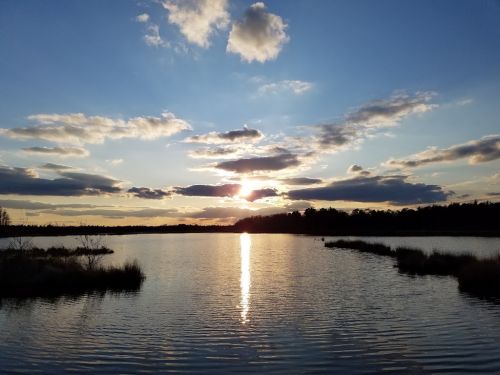  alt='Always interesting whether you walk the trails or drive a vehicle on the sand roads. Some are clearly marked off no traffic'