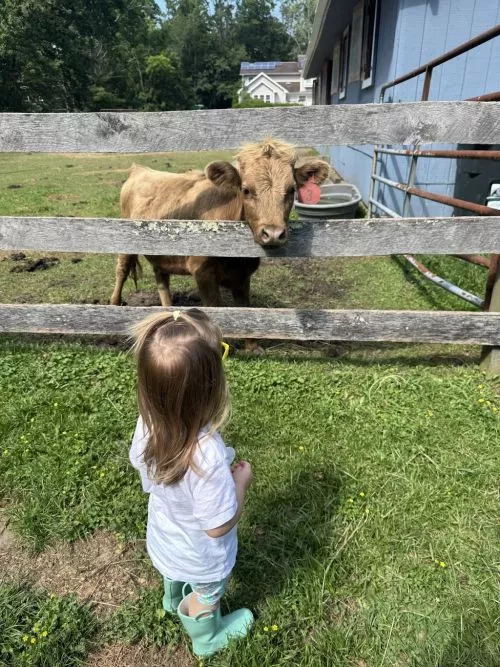 We took my 3 year old daughter here on Friday and it was an absolutely amazing experience