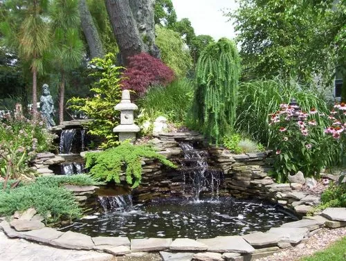 Great job, took our ideas and with his own turned our overgrown pond into the pond and stream of our dreams