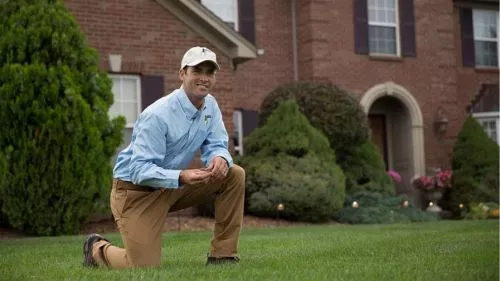 My lawn actually looked worse than it did before their treatments