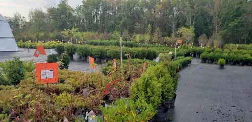They carry Vermont Thin stone, a great natural veneer for fireplaces, accent walls and foundations. 
