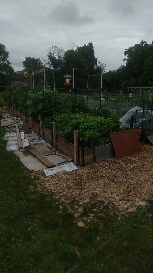  alt='The Eatontown Community Garden is home to many avid gardening enthusiasts'