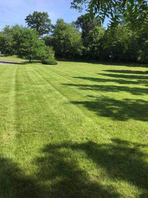 5+ Stars for White Birch Landscaping and Nick! The crews are prompt, professional, and polite