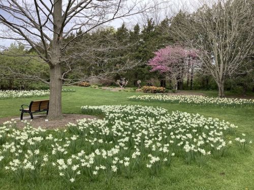  alt='Colonial Park has grown over the years and is a really nice park'