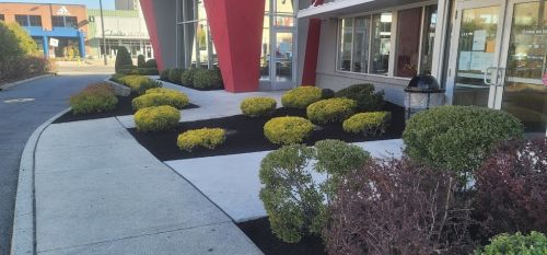  alt='Came to do a trimming job in north field and used all scissors since a lot of them got trimmed to short last season'