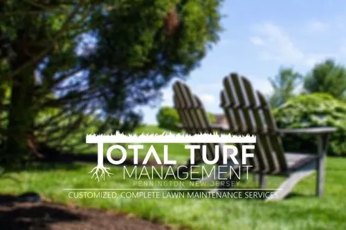 I was referred by a friend and these guys are fantastic. They are efficient and do a thorough job
