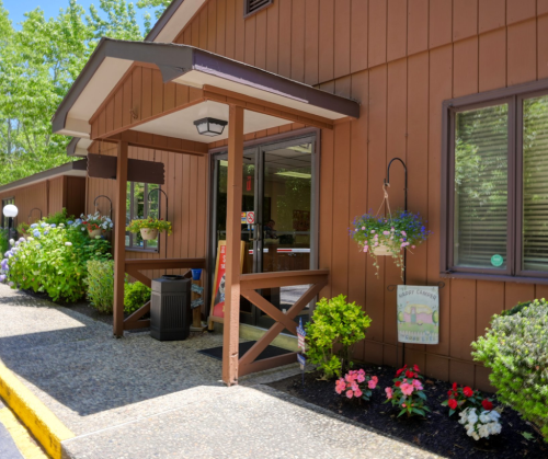  alt='Year after year, Seaview has done beautiful work at Cape Island Resort!'