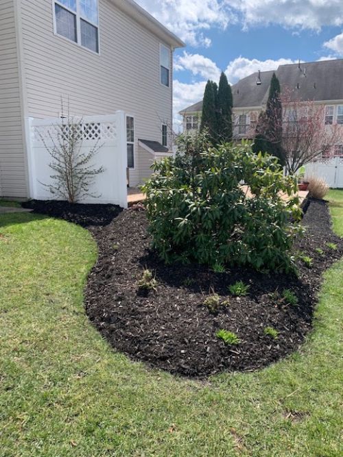  alt='I recently hired ATA to install landscape lighting around my home, and I