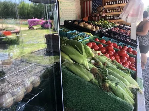 Great place for great experience all around. The produce is fresh. Their plants are healthy