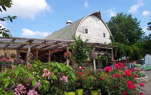  alt='We love Christmas at Stony Brook Gardens. Care, value, variety and outstanding customer service make this a must stop'