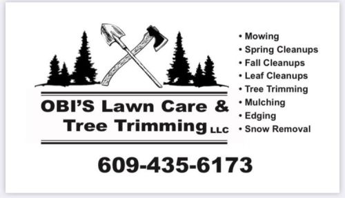  alt='I am a hobby gardener, with lots of ideas and no muscle. OBI and his team came in and worked magic transplanting a much'
