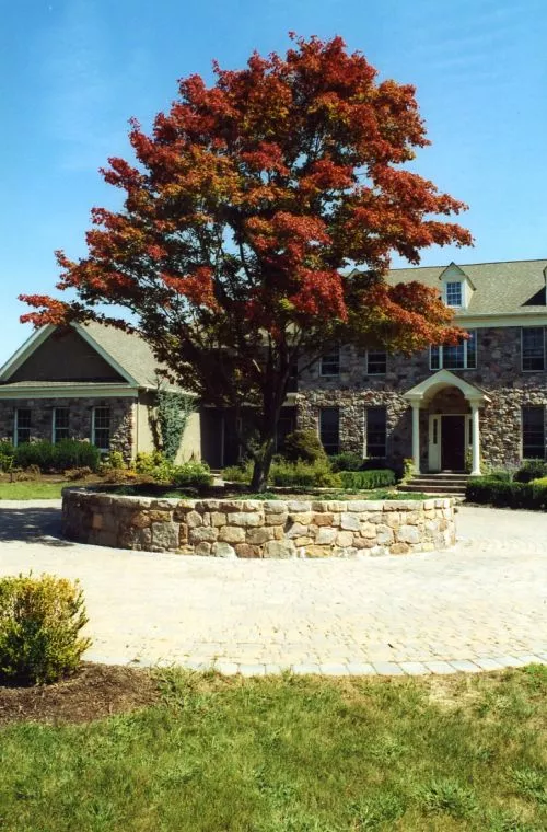 used this company for 4 yrs for lawn cuts,tree removal& cleanups