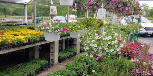 My family has been coming here for more years than I can count. Such a great variety of well kept plants with unbeatable