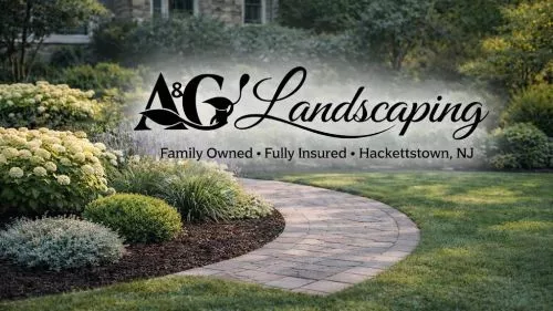 My family and I are located in the Chester area and have been using Angel and his crew for years