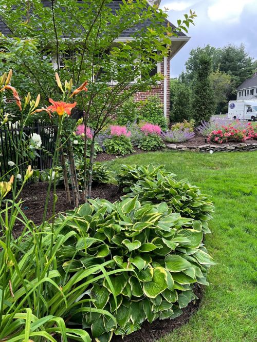  alt='We are so pleased to have Upper Mountain Landscaping as our professional landscapers and through the years to have expertly'