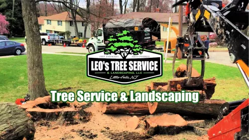 Leo and his team did a great job on our property. They showed up when they said they would, completed the work as