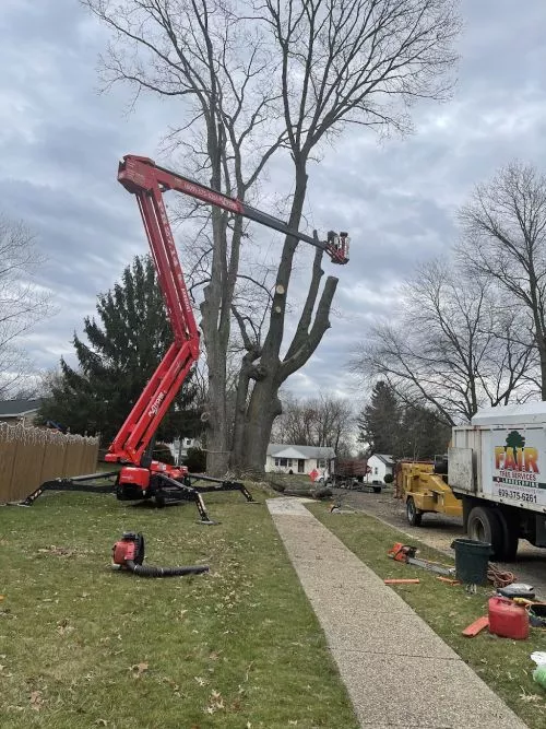 We first used Fair Tree Service in around 2020 to remove a couple of trees that were close to our foundation