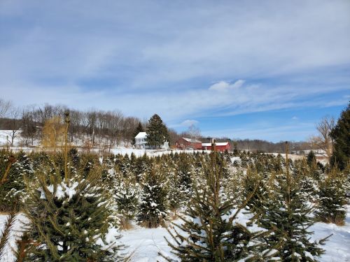  alt='This 2025 season was our first time going to this farm. We are a family of 5 and it was a great place for the family, we'