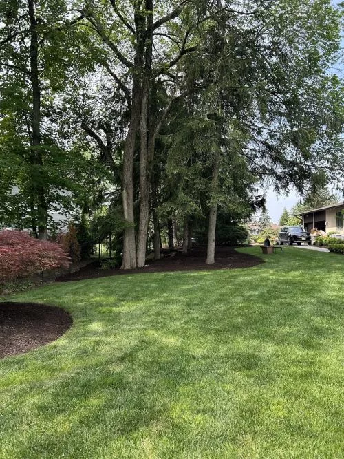 Spencer"s crew did an exceptional job on the lawn! Spring clean up was amazing and they even re edged all the heds