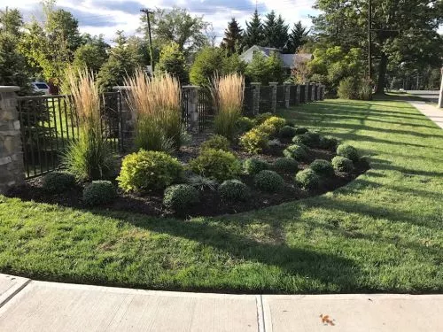 Big shout out to Spencer Palmer And Expert Landscaping in Livingston NJ