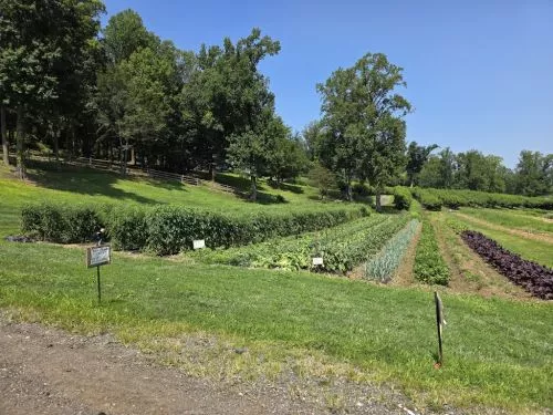 My family and I went there for the first time this weekend, we had a blast