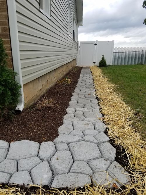  alt='BUYER BEWARE!!!!!!!!!!!!!!!!!!! THIS NURSERY DOES NOT OFFER A WARRANTY - EVERY OTHER NURSERY DOES---Steve sold us a 10ft'