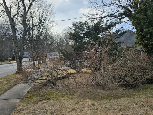  alt='Thanks to FT Tree Service for removing numerous dead limbs from the top of one of our trees'