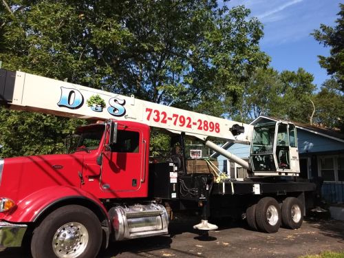  alt='Truly the Best Tree Service Experience Around !! D&S Tree Services exceeded every expectation from start to finish'